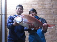 4/13　マダイ 68cm/4.0kg　MYボート：島田さん＆高橋さん　※タイラバでの釣果※